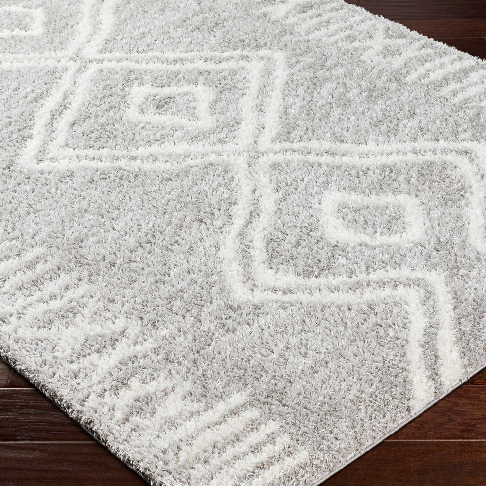 Asael Gray Area Rug - Clearance