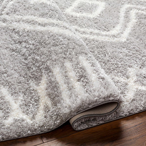 Asael Gray Area Rug - Clearance