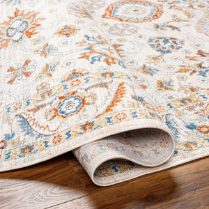 Araya Area Rug - Clearance