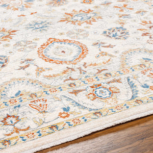 Araya Area Rug - Clearance