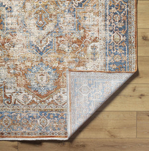 Basim Area Rug - Clearance