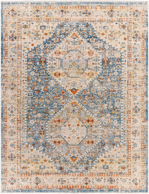 Cyndi Area Rug - Clearance