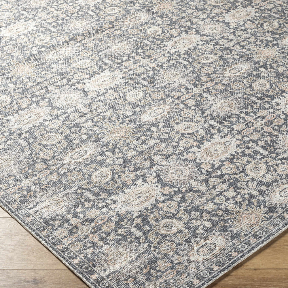 Semaj Area Rug