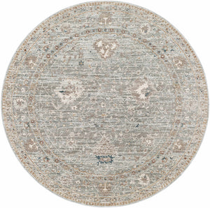 Scole Area Rug - Clearance