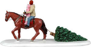 Tree Tradition
