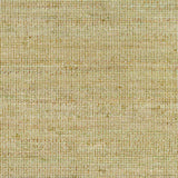 Byrne Green Area Rug - Clearance