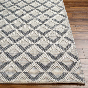 Maik Area Rug - Clearance