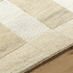 Sapir Area Rug - Clearance
