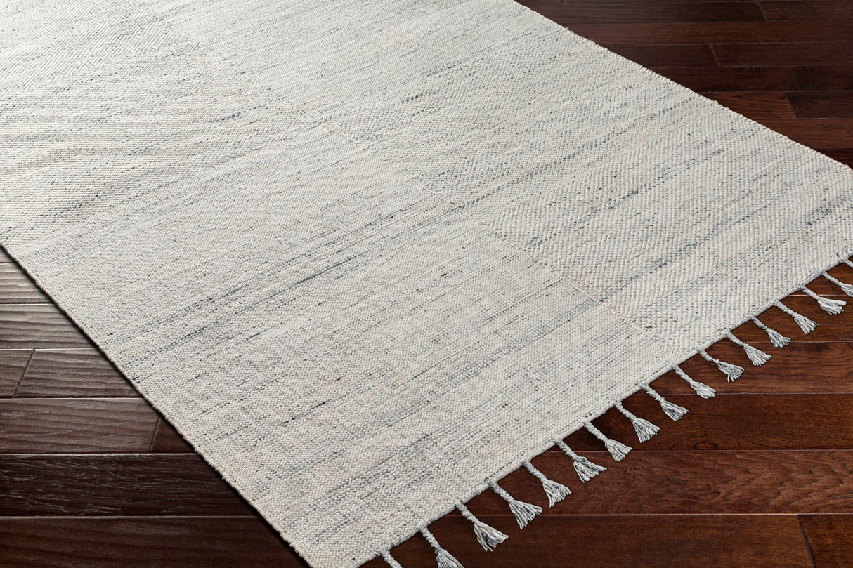 Anaya Beige & Blue Area Rug - Clearance