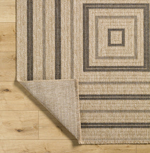 Beril Area Rug