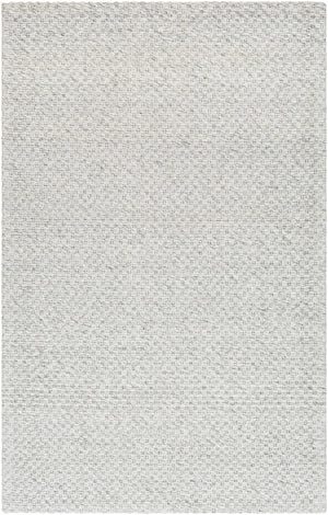 Kassa Gray Hand Woven Area Rug - Clearance