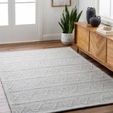 Kyung Gray Area Rug - Clearance