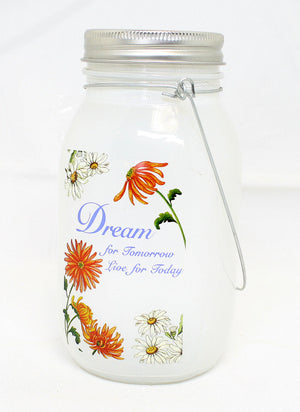 7 Inch Lighted Frosted Glass Jar -