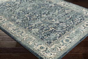 Shokan Area Rug