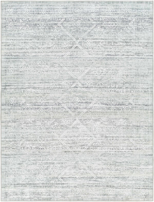 Blake Light Gray Washable Area Rug - Clearance