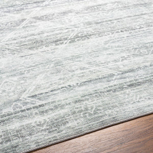 Blake Light Gray Washable Area Rug - Clearance