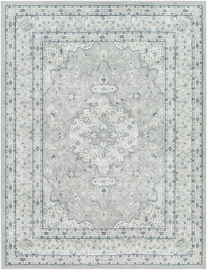 Farai Gray Medallion Area Rug - Clearance