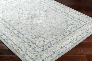 Farai Gray Medallion Area Rug - Clearance