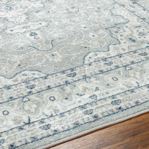 Farai Gray Medallion Area Rug - Clearance