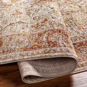 Cress Rust Rich Textured Traditional Rug