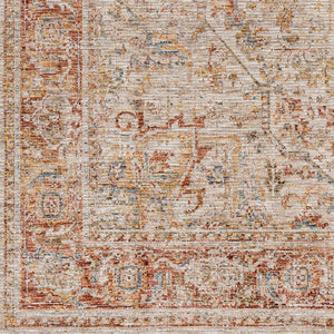 Cress Rust Rich Textured Traditional Rug