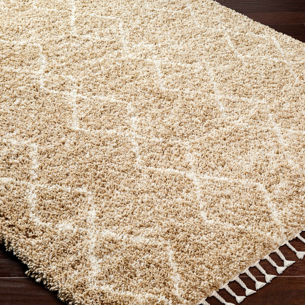 Ishan Area Rug