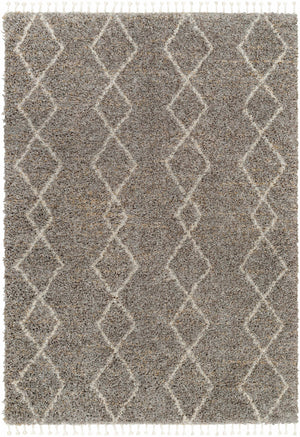 Ishan Taupe Area Rug - Clearance