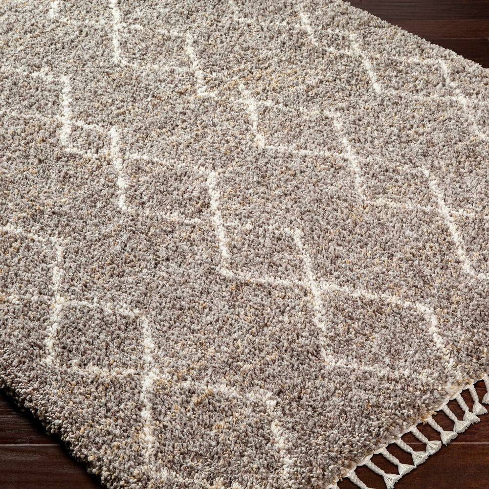 Ishan Taupe Area Rug - Clearance