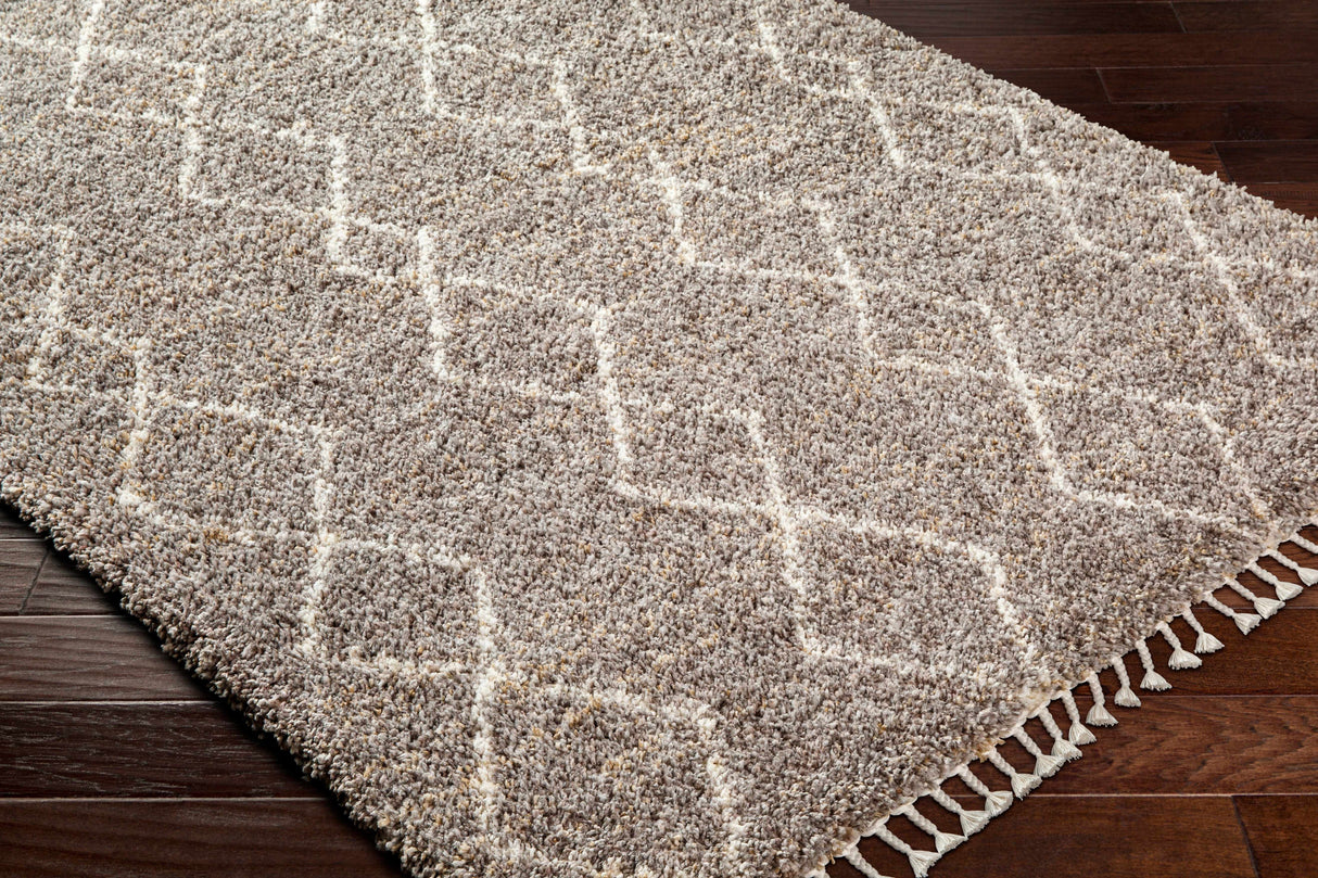 Ishan Taupe Area Rug - Clearance
