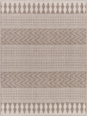 Asif Brown Area Rug - Clearance