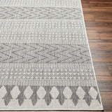 Asif Gray Area Rug - Clearance