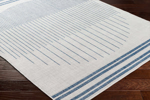 Aviya Blue & Gray Area Rug - Clearance