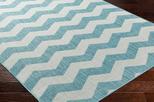 Cheri Thatch Light Blue Area Carpet Area Rug - Clearance