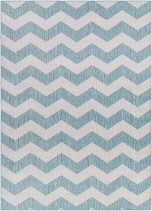 Cheri Thatch Light Blue Area Carpet Area Rug - Clearance