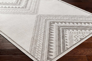 Deana Light Gray Area Rug - Clearance