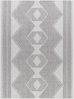 Evana Gray Area Rug - Clearance