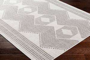 Evana Gray Area Rug - Clearance