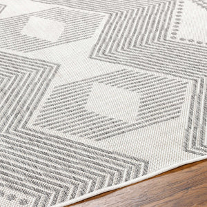 Evana Gray Area Rug - Clearance