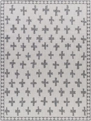 Kyna Gray Area Rug - Clearance
