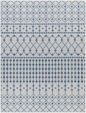 Lali Blue & Gray Area Rug - Clearance
