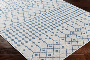 Lali Blue & Gray Area Rug - Clearance