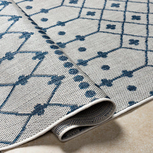 Lali Blue & Gray Area Rug - Clearance