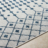Lali Blue & Gray Area Rug - Clearance