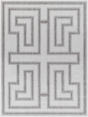 Taro Light Gray Area Rug - Clearance