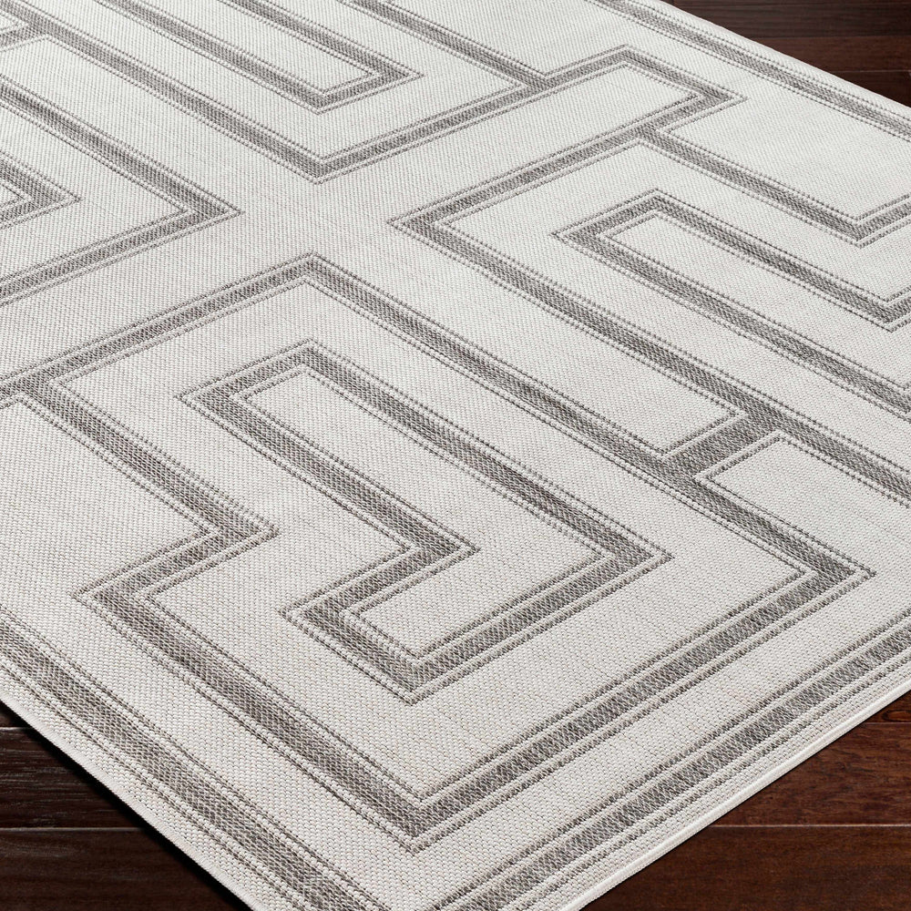 Taro Light Gray Area Rug - Clearance