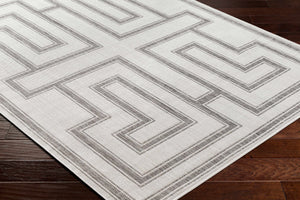 Taro Light Gray Area Rug - Clearance