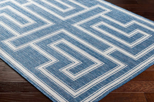Taro Blue Area Rug - Clearance
