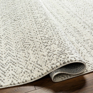 Truc Area Rug