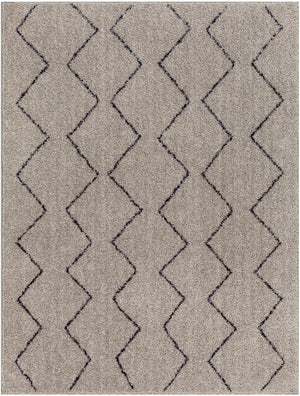 Amro Washable Area Rug - Clearance