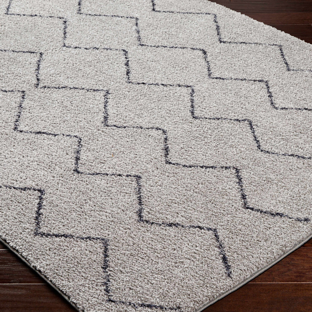 Amro Washable Area Rug - Clearance